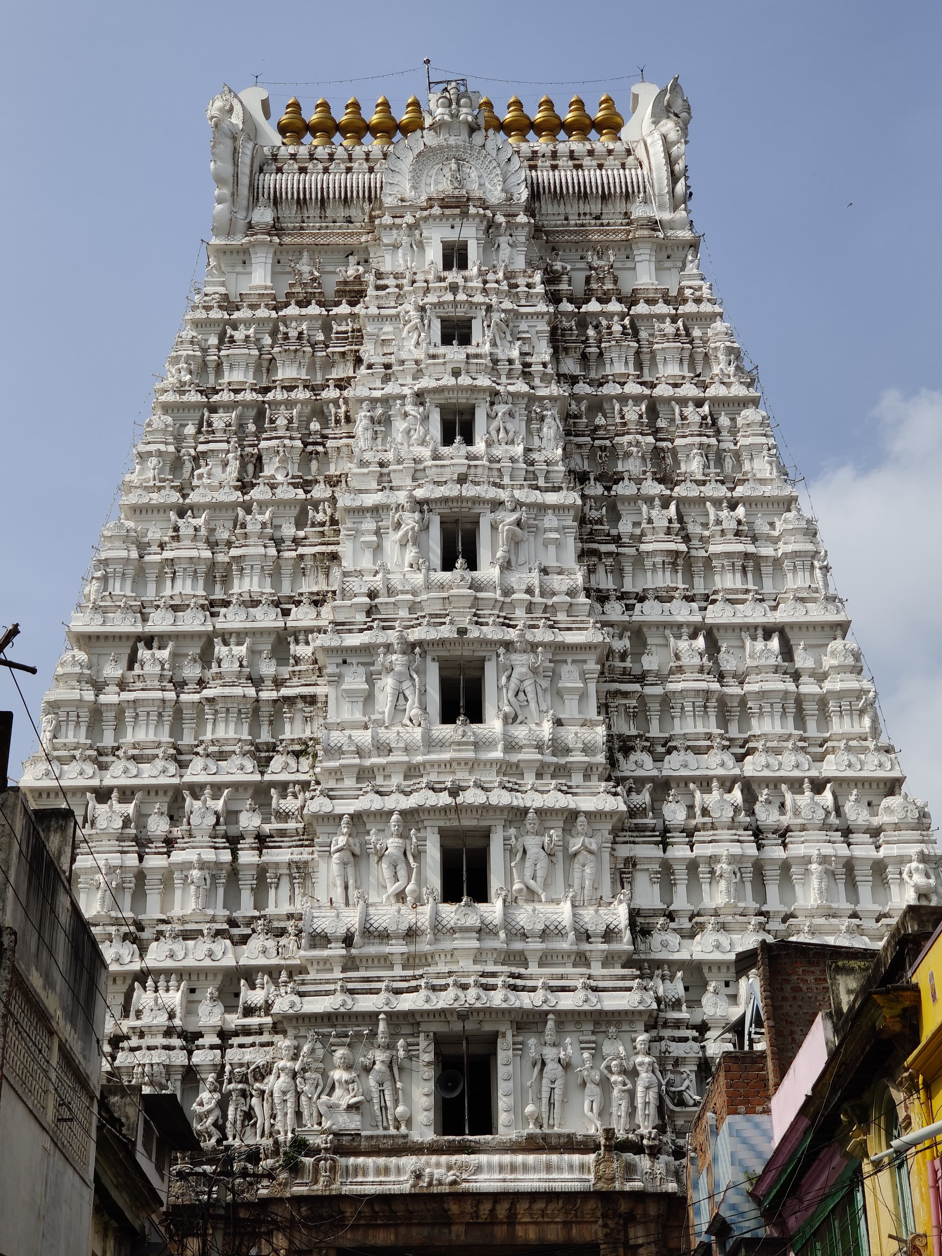 Sri Govinda Raja swamy temple
