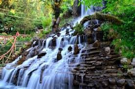 DARJEELING Hills & Tea Garden Tour - Image 3