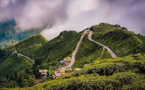 DARJEELING Hills & Tea Garden Tour - Image 9