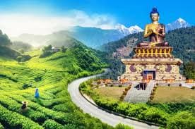 DARJEELING Hills & Tea Garden Tour - Image 7