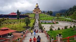 DARJEELING Hills & Tea Garden Tour - Image 4