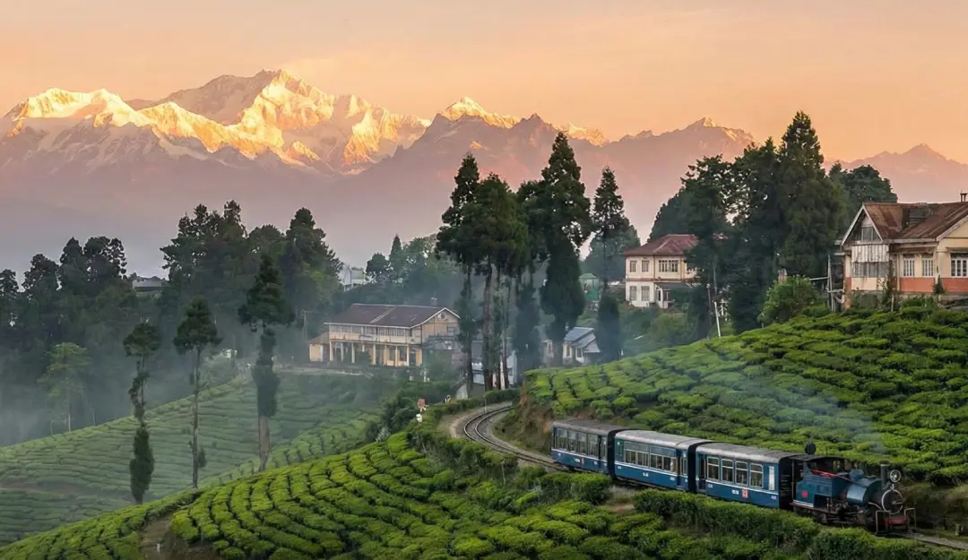 DARJEELING Hills & Tea Garden Tour - Image 14