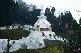 DARJEELING Hills & Tea Garden Tour - Image 16