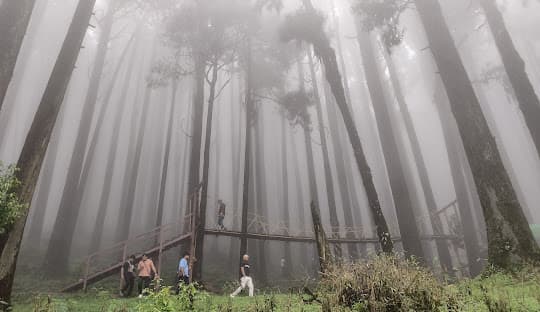 Lepcha Jagat (Lepchajagat)