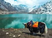 Tsomgo (Changu) Lake
